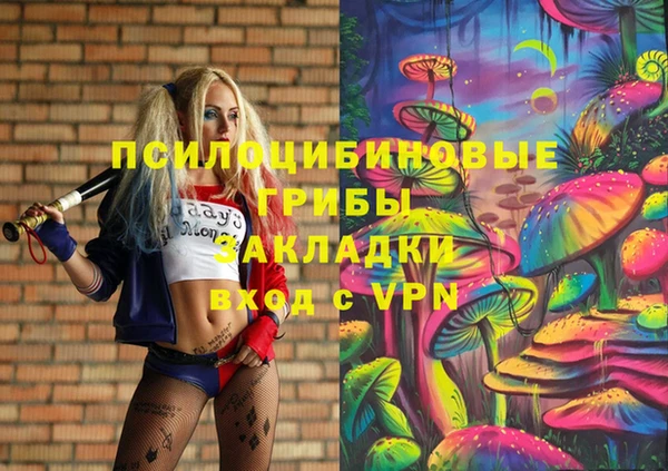 a pvp Алексин