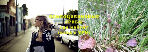 a pvp Алексин